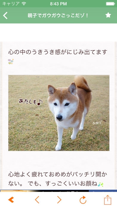「日刊いぬ新聞-犬ブログ＆イヌ動画アプリ」のスクリーンショット 2枚目
