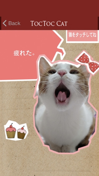 「猫語翻訳機 -無料アプリTocTocCat-」のスクリーンショット 3枚目