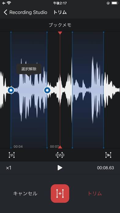 「ボイスレコーダー - 録音アプリ & ボイスメモ」のスクリーンショット 3枚目