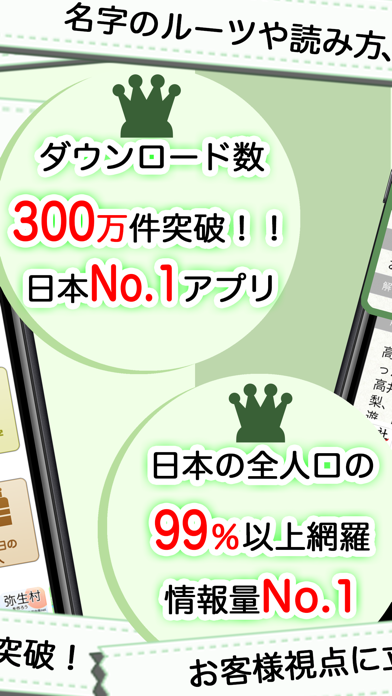 「名字由来net 〜全国都道府県ランキングや家紋家系図」のスクリーンショット 2枚目