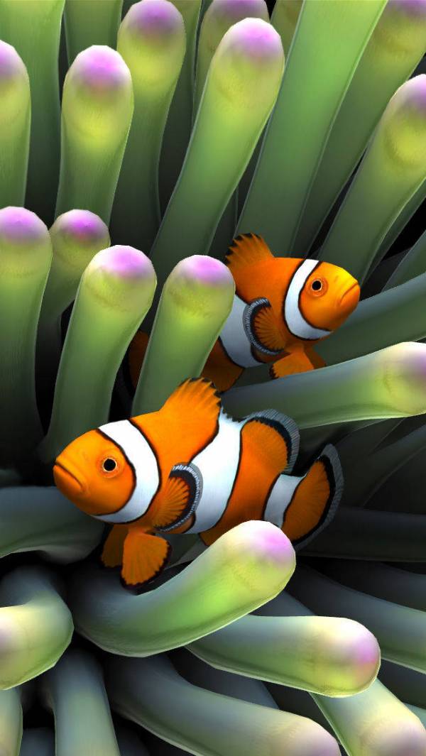 「Sim Aquarium 3D」のスクリーンショット 1枚目