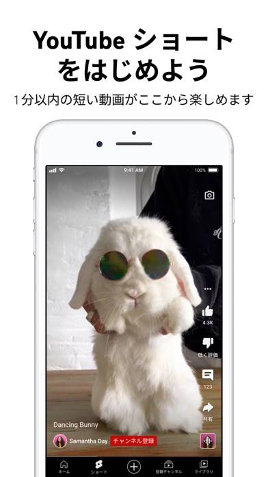「YouTube」のスクリーンショット 3枚目