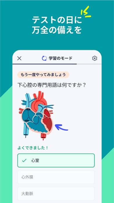 「Quizlet：単語カードで学びましょう」のスクリーンショット 3枚目