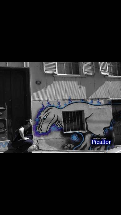 「Picaflor」のスクリーンショット 3枚目