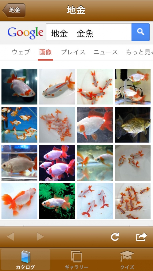 すぐわかる 日本金魚図鑑 Japanese Goldfish Appliv