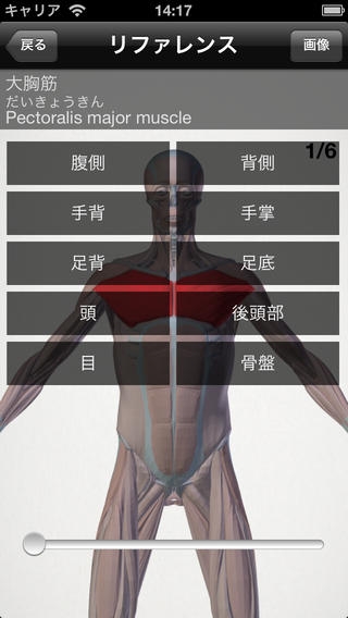 「らくらく解剖学[筋肉]」のスクリーンショット 3枚目