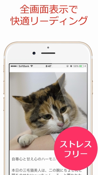 「もふもふにゃんこ - かわいい猫で癒される、ねこ好き必携のアプリ」のスクリーンショット 3枚目