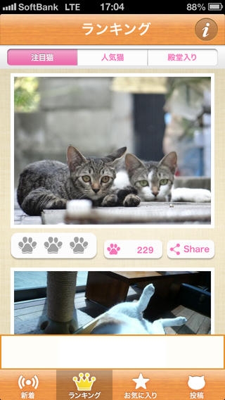 「ねこまみれ  -かわいい猫写真が見放題！「ねこのきもち」公式アプリ-」のスクリーンショット 3枚目