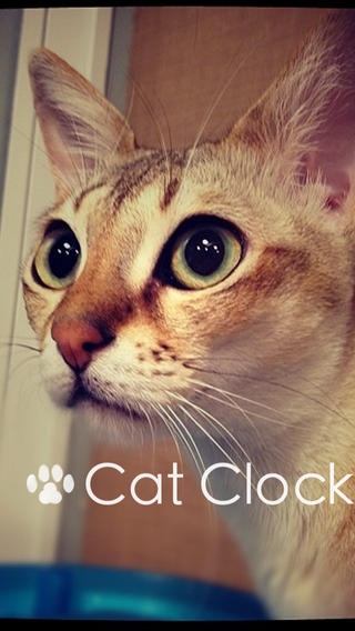 「にゃんこクロック 猫好きの猫好きによる猫好きのための時計」のスクリーンショット 1枚目