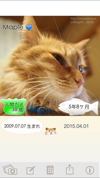 「ニャンコいくつ？愛猫の年齢を計算して写真で保存！」のスクリーンショット 3枚目
