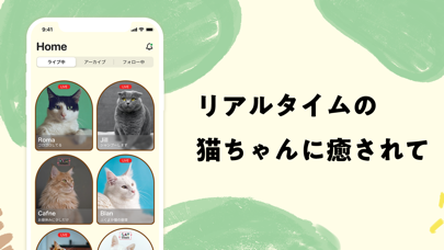 「nekochan - 猫だけのライブ配信アプリ」のスクリーンショット 2枚目