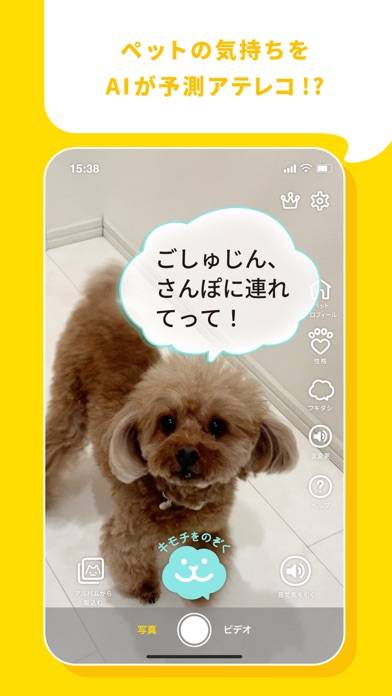 「ツイペット：犬や猫のペットのきもちがわかる！？　翻訳アプリ」のスクリーンショット 2枚目