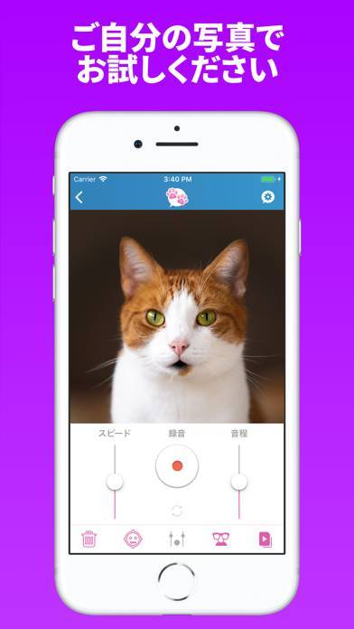 おしゃべりペット 1のスクリーンショット 1枚目 Iphoneアプリ Appliv