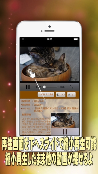 「猫ねこ動画オンライン - 猫ねこ専門の動画まとめアプリ[Cat's Video ONLINE]」のスクリーンショット 2枚目