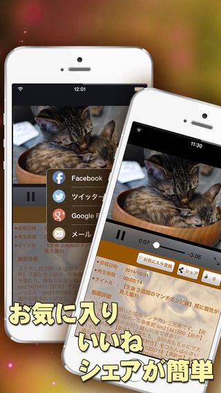 「猫ねこ動画オンライン - 猫ねこ専門の動画まとめアプリ[Cat's Video ONLINE]」のスクリーンショット 3枚目