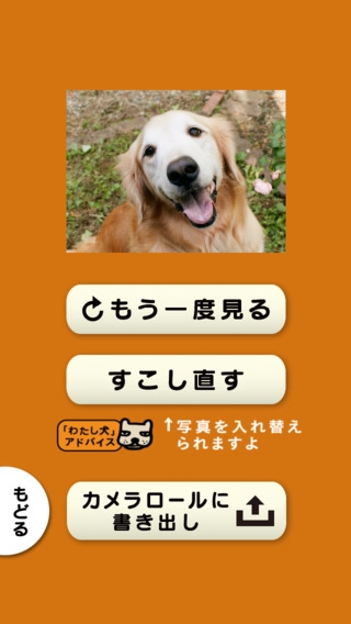 スライドショー作成アプリ わたし 犬 いぬ 思い出ぽん のスクリーンショット 4枚目 Iphoneアプリ Appliv