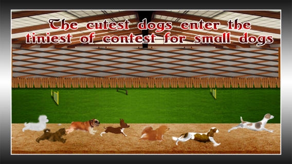 「小型犬の美しさと俊敏コンテスト：かわいい動物のレース - 無料版」のスクリーンショット 2枚目