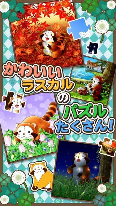 あらいぐまラスカル ジグソーパズル カントリーラック 1000ピース+