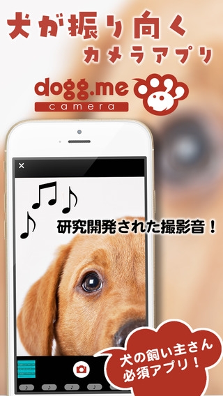 「dogg.me camera(ドッグミーカメラ)--愛犬家向け写真SNS」のスクリーンショット 1枚目