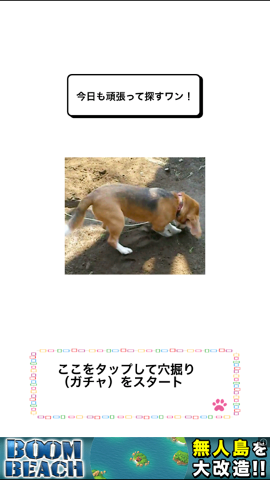 「わんこ天気〜天気予報＆可愛い犬の写真〜」のスクリーンショット 2枚目
