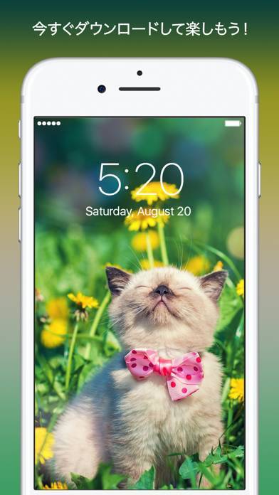 Everpix 高画質で綺麗な壁紙と背景画像アプリのスクリーンショット 7枚目 Iphoneアプリ Appliv