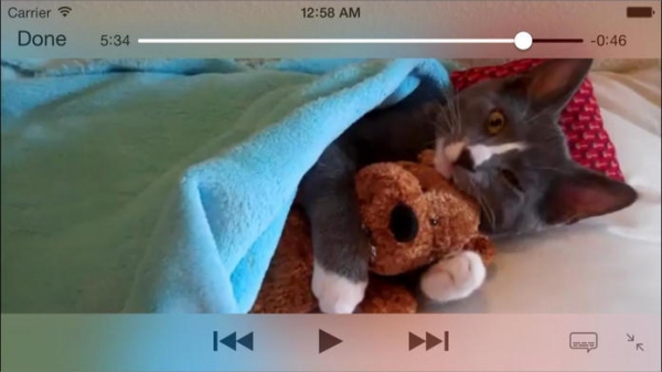 ねこ動 - 暇つぶしにちょうど良い、猫動画まとめのスクリーンショット 