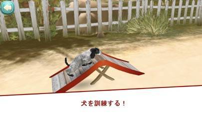 Dog Hotel 犬と遊ぶのスクリーンショット 8枚目 Iphoneアプリ Appliv