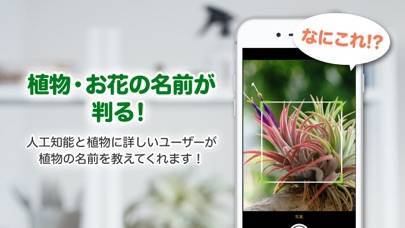 22年 植物図鑑アプリおすすめランキングtop10 無料 Iphone Androidアプリ Appliv