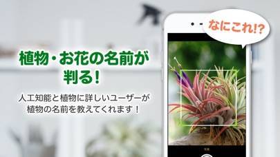 「GreenSnap - 植物・花の名前が判る写真共有アプリ」のスクリーンショット 1枚目