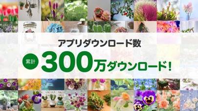 「GreenSnap - 植物・花の名前が判る写真共有アプリ」のスクリーンショット 2枚目