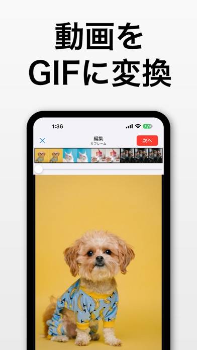 「GIFトースター (GIF生成)」のスクリーンショット 1枚目