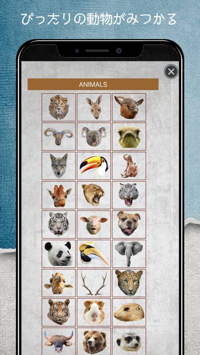 22年 動物に変身できるアプリおすすめランキングtop10 無料 Iphone Androidアプリ Appliv