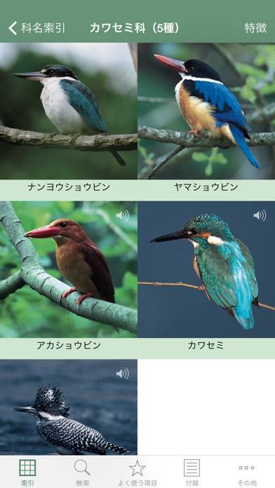 「日本の野鳥（山溪ハンディ図鑑）」のスクリーンショット 2枚目