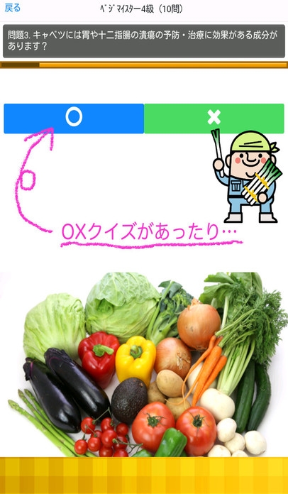 すぐわかる 非公式lohasベジタブルマイスター野菜ソムリエ検定 Appliv