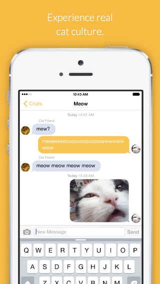 「Cat Chat - Chat For Cats」のスクリーンショット 2枚目