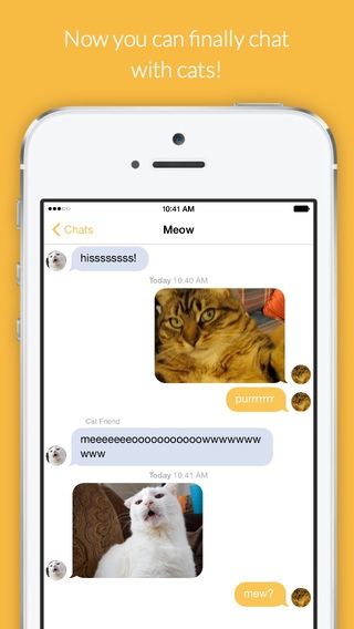 「Cat Chat - Chat For Cats」のスクリーンショット 1枚目