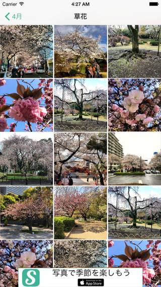 「SeasonalSceneJp 写真で日本の季節を楽しもう」のスクリーンショット 2枚目