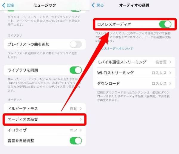 Apple Music・ロスレスオーディオ設定方法