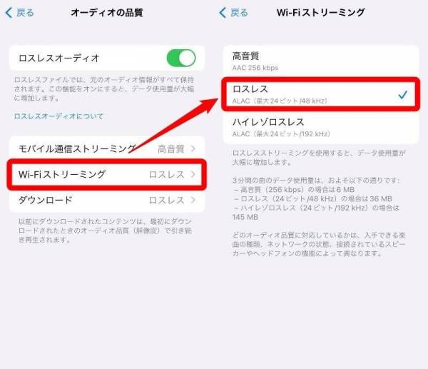 Apple Music・ロスレスオーディオ設定方法