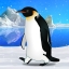 すぐわかる 癒しのペンギン育成ゲーム Iphone Androidアプリ Appliv