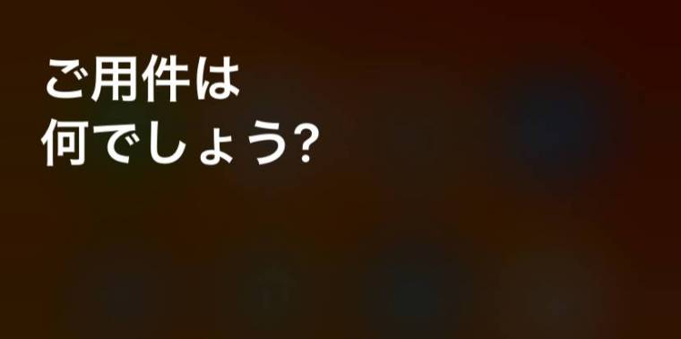 siri コレクション ものまね ブルゾン