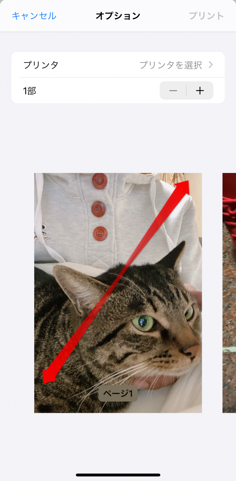 該当する 忠実な アフリカ人 スクリーン ショット Pdf 化 スマホ 報復 電子 ボトルネック