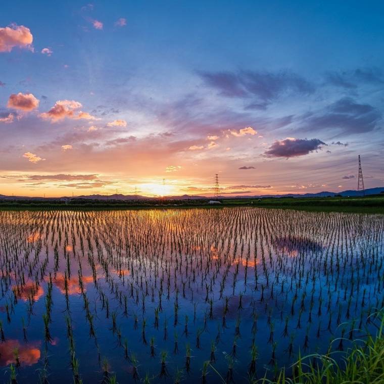 そのまま真似できるエモい写真集 簡単な撮り方や加工のコツを解説 Appliv