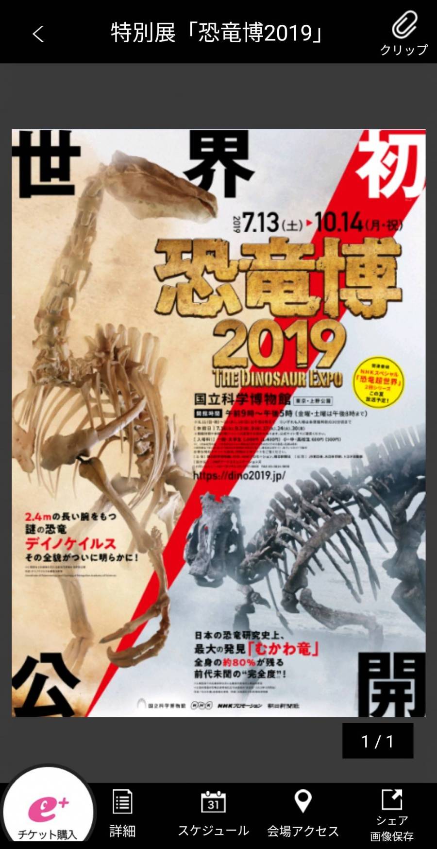 恐竜博2019　The Dinosaur Expo 2019のチラシ