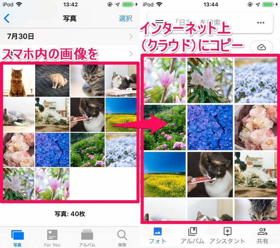 クラウドストレージに写真を移行した様子