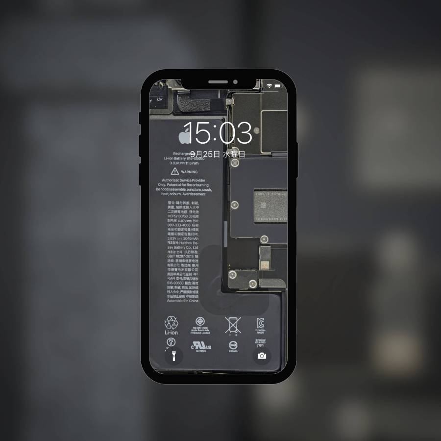 iPhone11 スケルトン壁紙