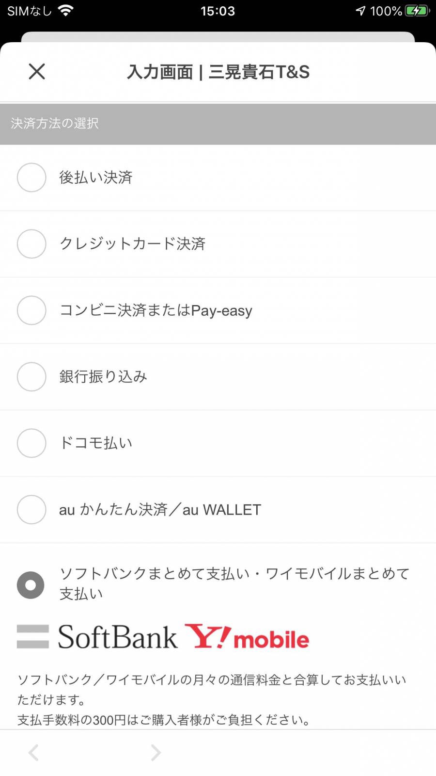 BASEアプリ　支払い方法選択画面
