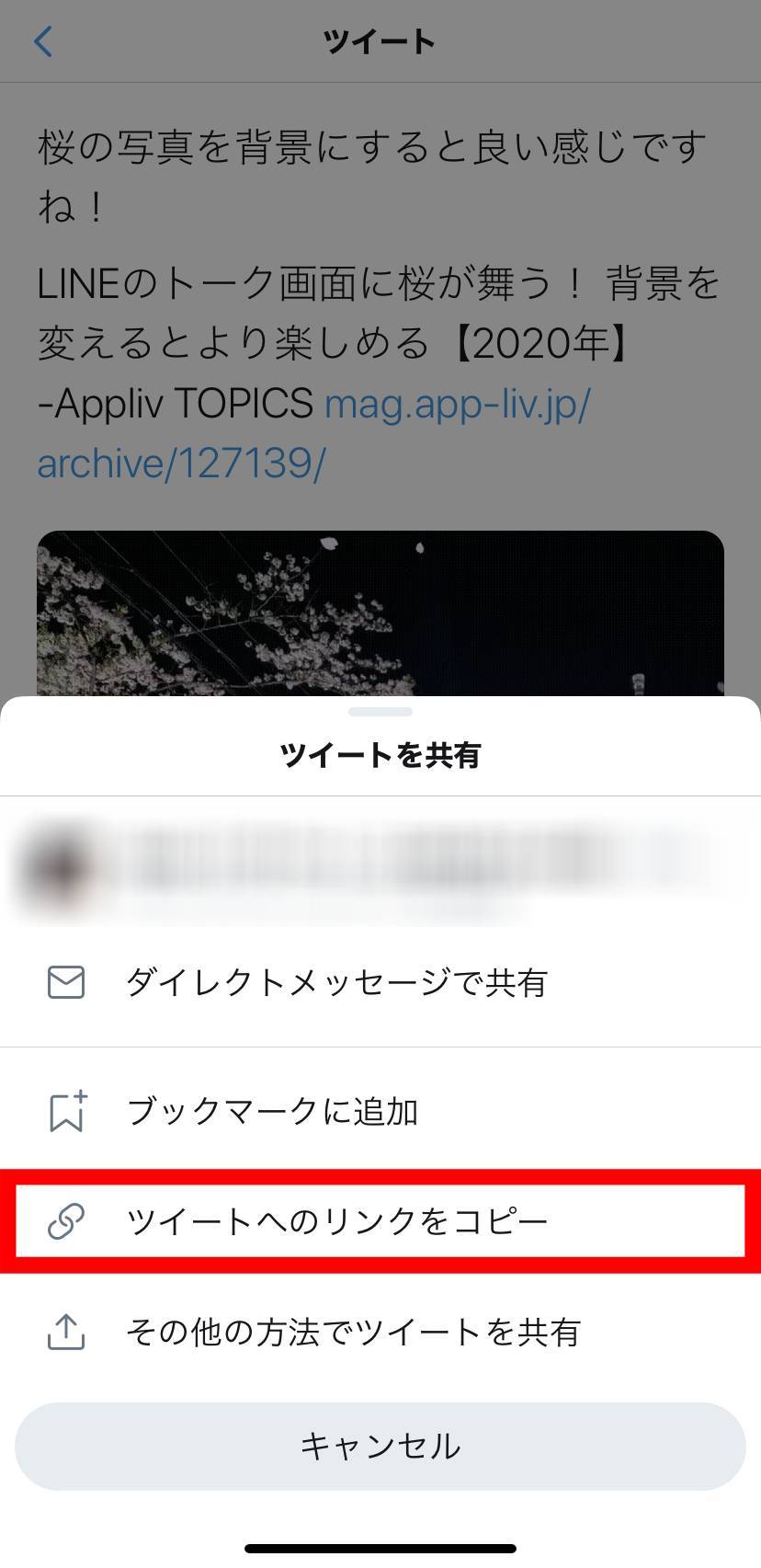 Twitter　GIF　保存2