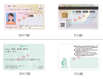 マイナンバーカードと通知カードのイメージ