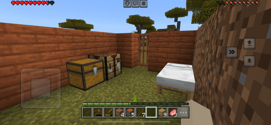 Minecraft プレイ画面